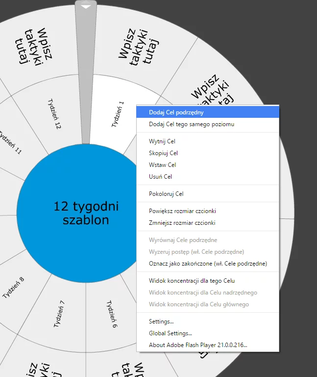 Szablon do pracy z planem 12 tygodniowym