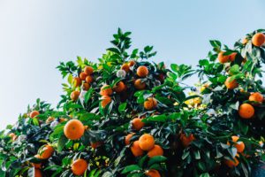 Pomarańcze i small talki