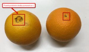 Jak wybrać słodką pomarańczę?
