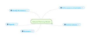 Natural Planning Model - David Allen